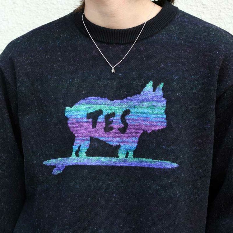 TES/テス クルーネックニット/ETHNIC BUHI JQ CREWNECK KNIT AS